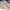 Puma Streetwear Sportswear Sneakers Wanita White Cream