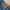 EDWIN Vintage Casual Jeans Pria blue photo 4
