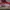 Nike Casual Sneakers Pria White Red