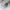 Streetwear Sportswear Sneakers Pria multicolor photo 4