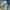 Streetwear Sportswear Sneakers Pria multicolor photo 1