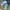 Streetwear Sportswear Sneakers Pria Multicolor