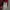 Dickies Casual Hoody Pria red photo 4