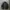 New Balance Casual Windbreaker Pria black photo 1