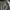 Adidas Sportswear Casual Windbreaker Pria white black photo 4