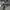 Adidas Sportswear Casual Windbreaker Pria white black photo 5