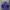 Le Coq Sportif Sportswear Casual Windbreaker Pria navy photo 5