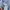 Champion Streetwear Skater Hoody Pria gray photo 4