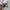 Nike Streetwear Sportswear Sweater Pria white photo 3