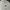 Nike Streetwear Sportswear Sweater Pria white photo 2