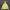 Nike Streetwear Sportswear Hoody Pria Green