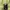 Nike Streetwear Sportswear Hoody Pria green photo 2