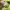 Nike Streetwear Sportswear Hoody Pria green photo 4
