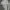 Made in USA Streetwear Skater Hoody Pria gray photo 4