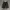 Timberland Casual Jeans Pria black photo 4