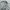 Oakley Vintage Y2K Hoody Pria gray photo 6