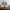 Nike Streetwear Sportswear Sneakers Pria tan photo 3