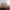 Nike Streetwear Sportswear Sneakers Pria tan photo 1