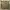 - No Brand - 2x Used,