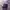 Streetwear Hat Pria multicolor photo 1