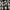 Vintage Streetwear Boxer Pria white black photo 2