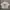 Vintage Streetwear Boxer Pria white photo 1