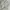 Polo Ralph Lauren Casual Casual Shirt Pria White