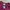 thisisneverthat Streetwear Y2K T-shirt Pria burgundy photo 4