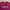 thisisneverthat Streetwear Y2K T-shirt Pria burgundy photo 2