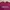 Thisisneverthat Streetwear Y2K T-shirt Pria Burgundy
