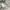 Calvin Klein Casual Harrington jacket Pria cream photo 8