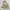 Calvin Klein Casual Harrington jacket Pria cream photo 5