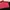 Champion Y2K Sportswear Puffer jacket Pria red black photo 4