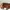 Coach Vintage Casual Bags & purse Wanita brown black photo 4