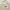 Tommy Hilfiger Luxury Casual Harrington jacket Pria cream photo 7