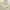 Tommy Hilfiger Luxury Casual Harrington jacket Pria cream photo 4