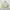 Tommy Hilfiger Luxury Casual Harrington jacket Pria cream photo 2
