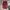 Coquette Kebaya Wanita burgundy photo 1