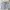 GAP Streetwear Skater Jeans Pria gray photo 1
