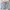 GAP Streetwear Skater Jeans Pria Gray