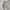 GAP Streetwear Skater Jeans Pria gray photo 3