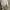 Luxury Futurist Bodycon dress Wanita silver white photo 6