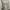 Luxury Futurist Bodycon dress Wanita silver white photo 5