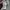 New Era Casual Hoody Pria gray photo 8