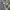 Chaps Lauren Vintage Casual shirt Pria white green photo 5