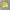 Mizuno Vintage Windbreaker Pria yellow photo 5