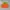 Vintage Sportswear Windbreaker Pria green orange photo 2