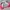 Vintage Sportswear Windbreaker Pria navy pink photo 7