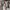 Sportswear Casual Sweater Wanita white photo 3