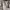 Sportswear Casual Sweater Wanita white photo 4